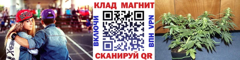 Магазины продажи наркотиков Кострома Каннабис  Меф  COCAIN  ГАШИШ 