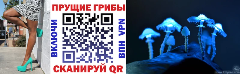 Галлюциногенные грибы Magic Shrooms  hydra ТОР  Кострома 
