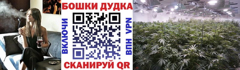 МАРИХУАНА Ganja  Кострома 